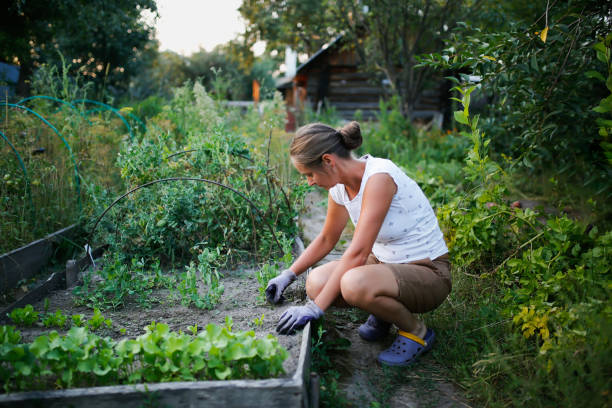 gardening roseville